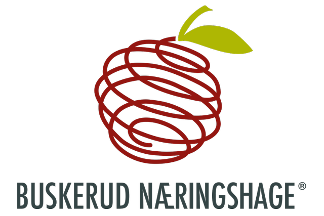 Buskerud Næringshage AS logo