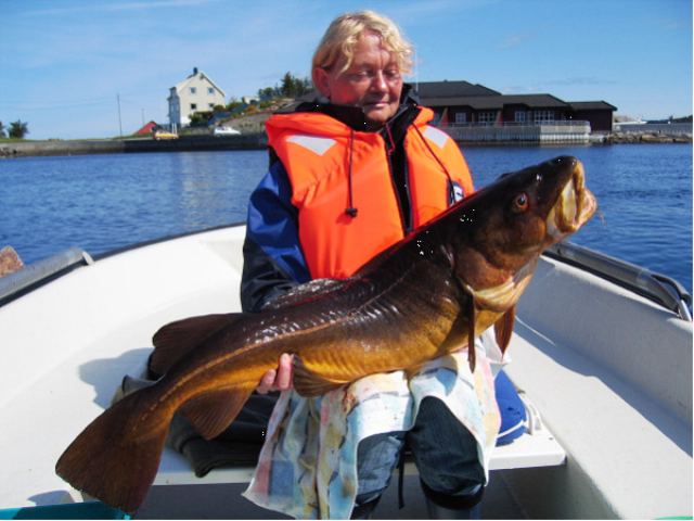 Gode fiskemuligheter like ved anlegget Galleribilde