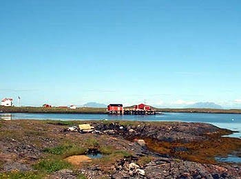 Illustrasjon: Sommeridyll Galleribilde