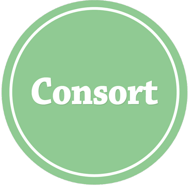 Consort AS logo