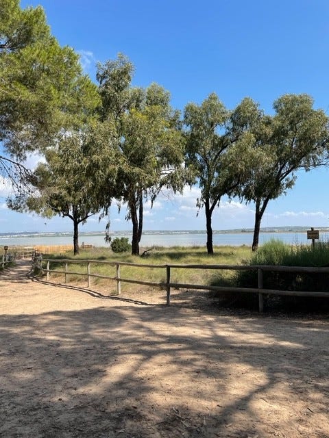 La Mata lagunen (Saltsjøen) Galleribilde