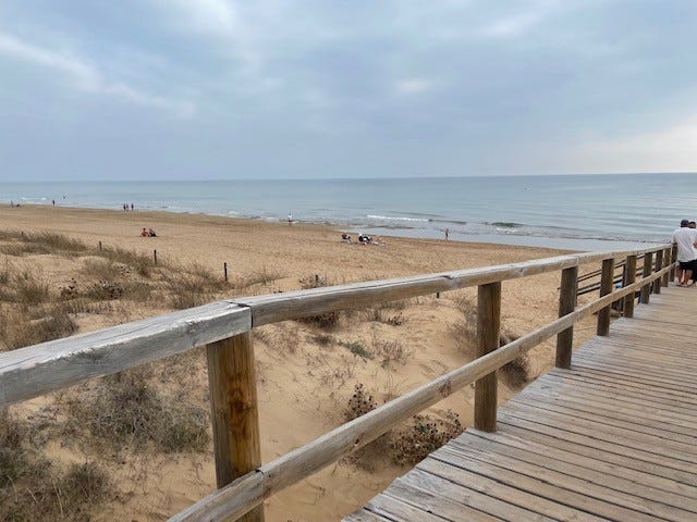 La Mata Galleribilde