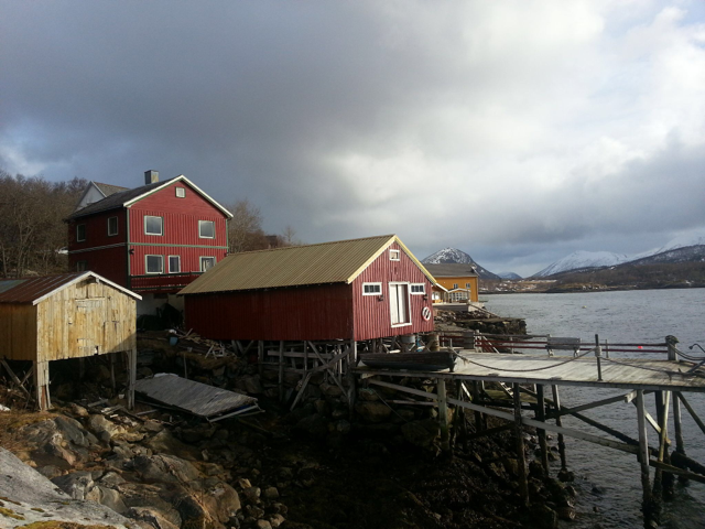 Oversikt Galleribilde