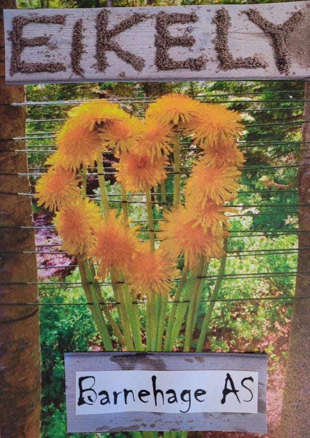 EIKELY BARNEHAGE AS logo