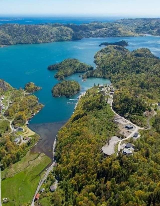 Oversiktsbilde av hyttefeltet Galleribilde