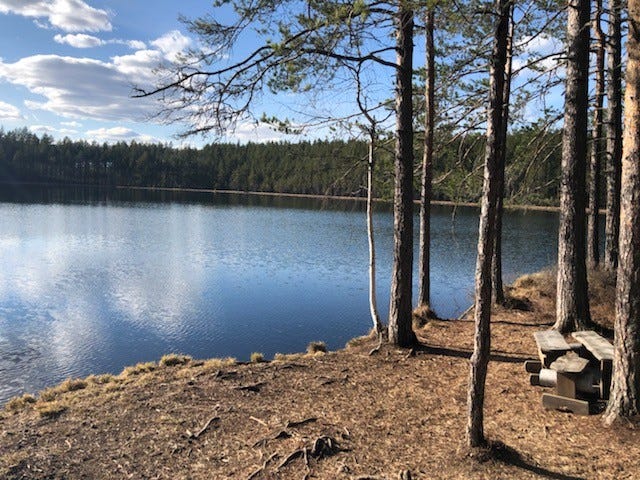 304_704541271.jpg