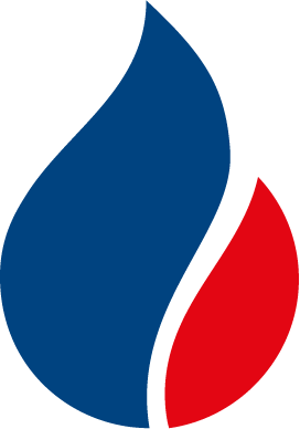 NORSK E-FUEL logo