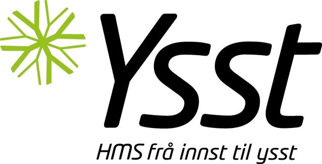 YSST HMS logo