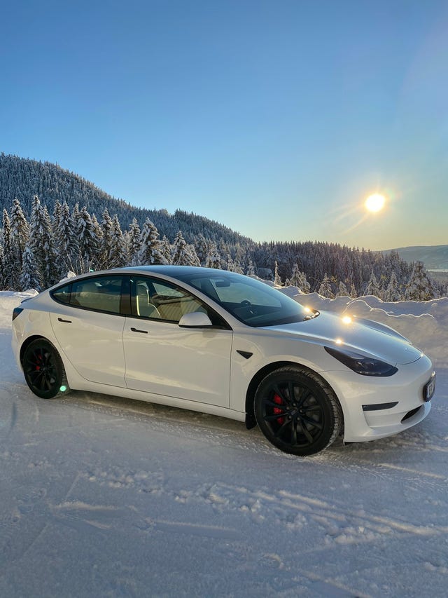 2021 TESLA MODEL 3 - 15