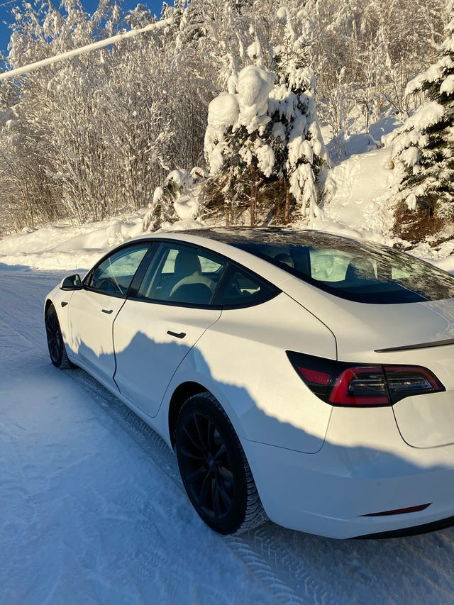 2021 TESLA MODEL 3 - 13