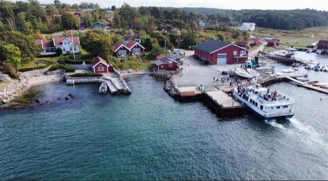 Fergeanløp Nedgården Galleribilde