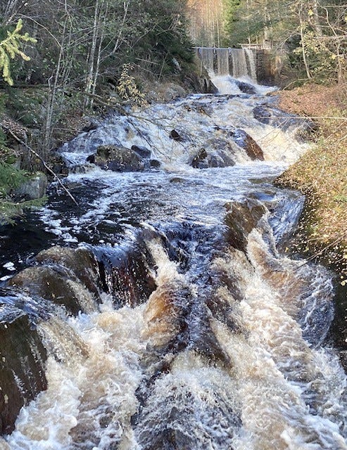 Austvassåa Galleribilde