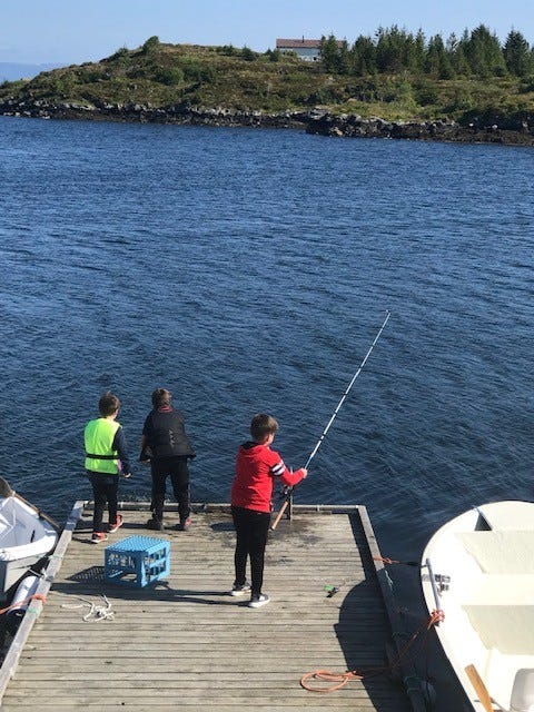 Et eldorado for små og store Galleribilde