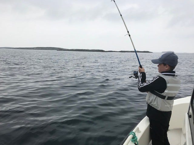 Et eldorado for små og store Galleribilde