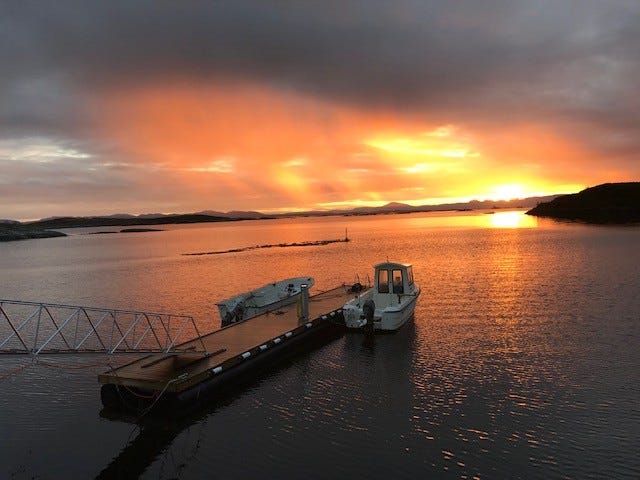 Alle trivest på Nerskaget Galleribilde