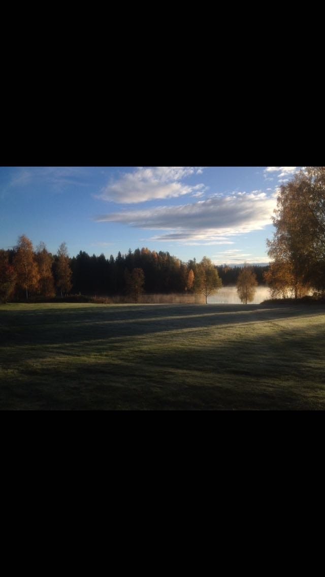 Utsikt fra hytta Galleribilde