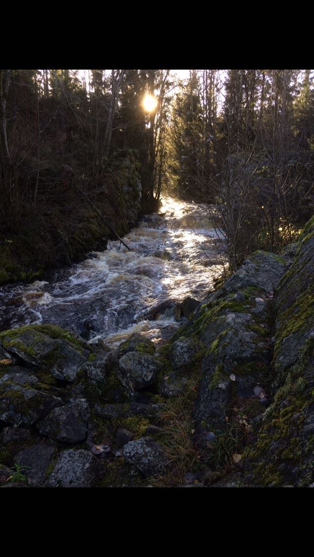 Sootkanalen Galleribilde