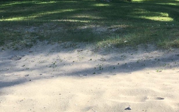 Sandstrand med puddersand Galleribilde