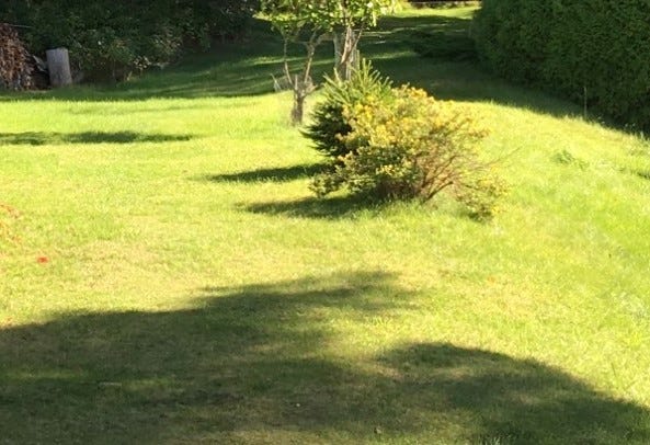 Gressplen med trampoline og plass til lek Galleribilde