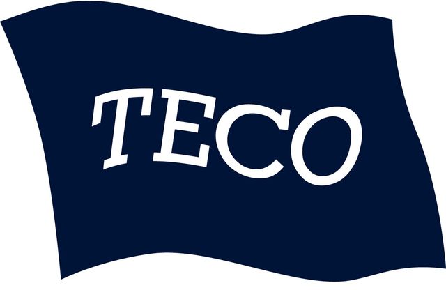 TECO SOLUTIONS AS logo