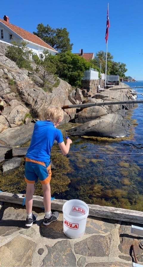Krabbefiske fra privat brygge Galleribilde