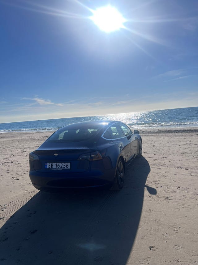 2019 TESLA MODEL 3 - 8