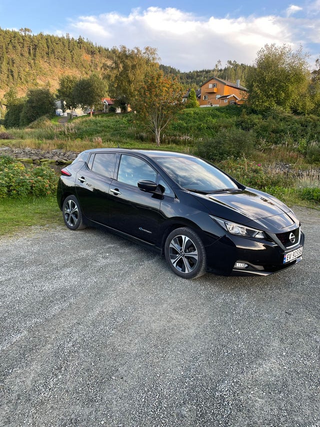 SJNFAAZE1U0060210 2019 NISSAN LEAF-3