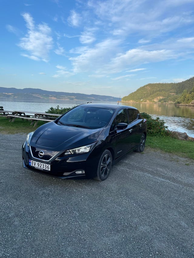 SJNFAAZE1U0060210 2019 NISSAN LEAF-0