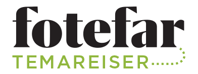 FOTEFAR TEMAREISER AS logo