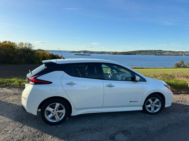 SJNFAAZE1U0049417 2019 NISSAN LEAF-0