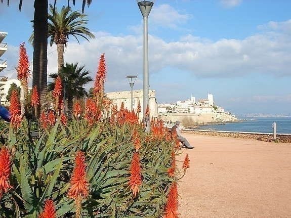 Strandpromenaden - 3 min unna leil Galleribilde