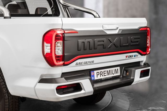 2022 MAXUS T90 EV - 20