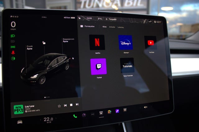 2019 TESLA MODEL 3 - 29