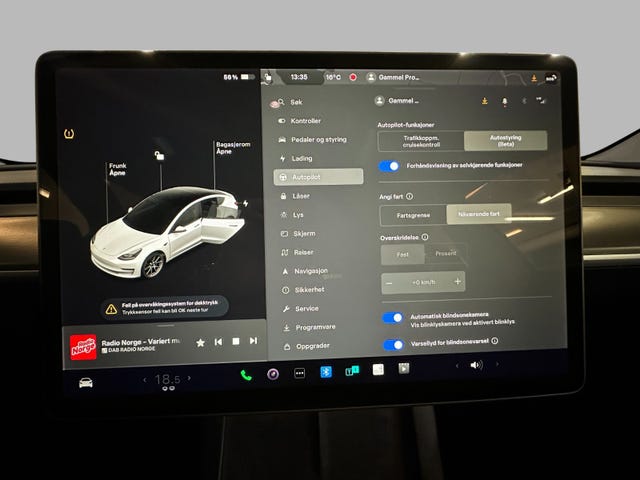2021 TESLA MODEL 3 - 15