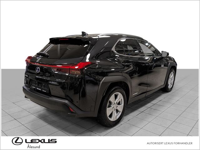 JTHU95BH402016762 2020 LEXUS UX-4