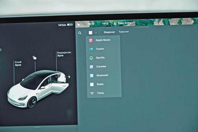 2021 TESLA MODEL 3 - 17