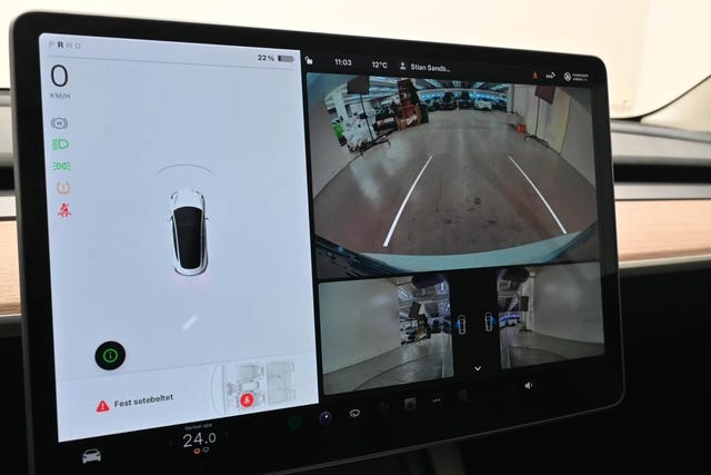 2021 TESLA MODEL 3 - 20