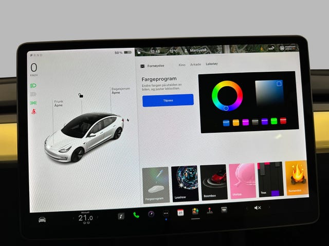 2021 TESLA MODEL 3 - 19