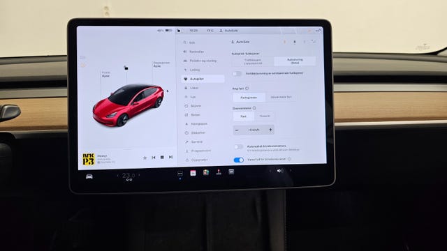 2021 TESLA MODEL 3 - 19
