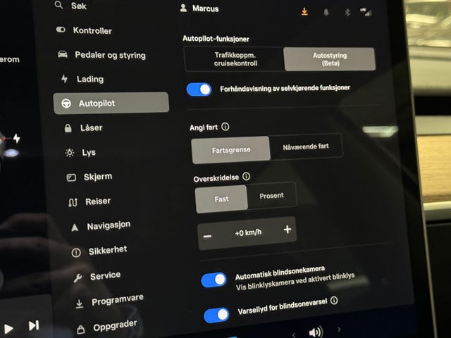 2021 TESLA MODEL 3 - 16