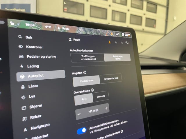 2021 TESLA MODEL 3 - 19
