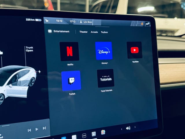 2019 TESLA MODEL 3 - 17