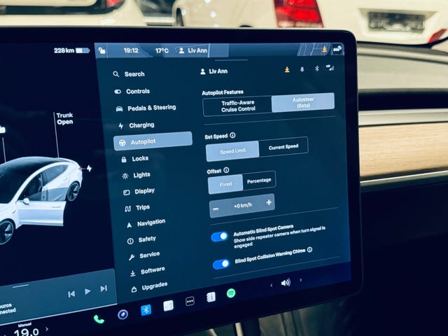 2019 TESLA MODEL 3 - 12