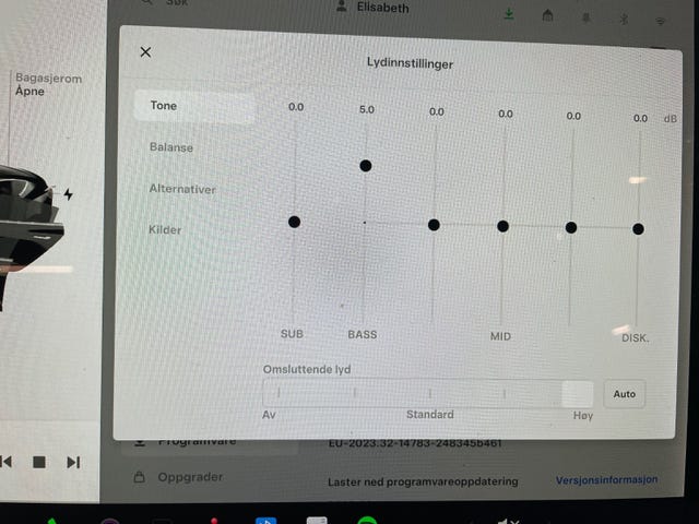 2019 TESLA MODEL 3 - 31