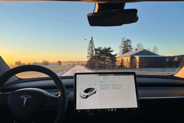 2021 TESLA MODEL 3 - 11