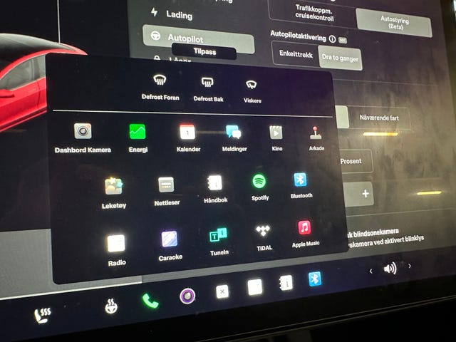 2021 TESLA MODEL 3 - 37