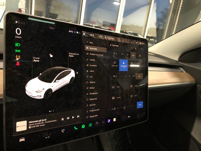 2021 TESLA MODEL 3 - 32