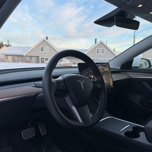 2021 TESLA MODEL 3 - 15