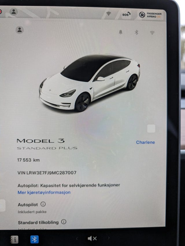 2021 TESLA MODEL 3 - 17