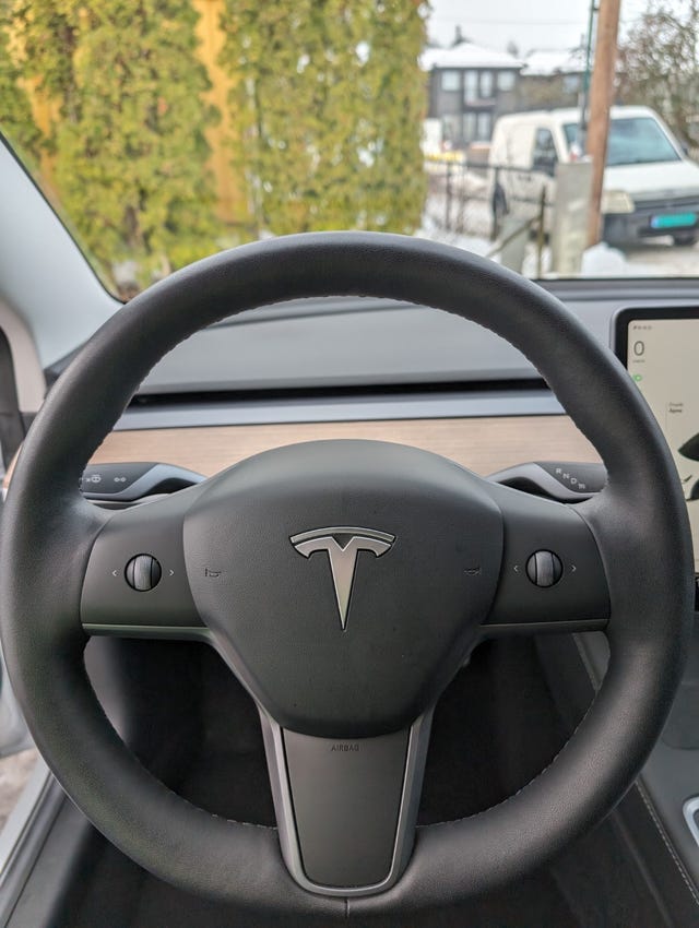 2021 TESLA MODEL 3 - 16